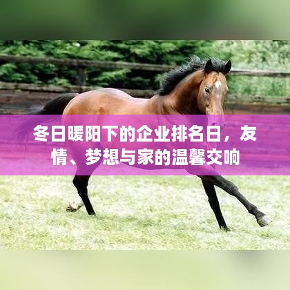 冬日暖阳下的企业排名日，友情、梦想与家的温馨交响乐章