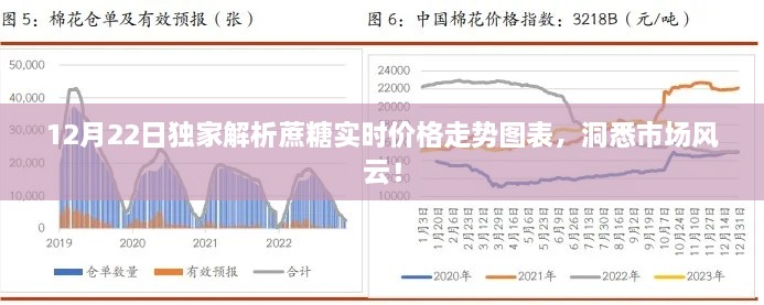 独家解析，蔗糖实时价格走势图表揭示市场风云变幻！