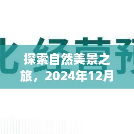 探索自然美景之旅，窗口图像带我们飞翔在时光之旅的奇妙世界