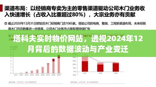 塔科夫实时物价网站揭示，数据波动与产业变迁至2024年12月展望