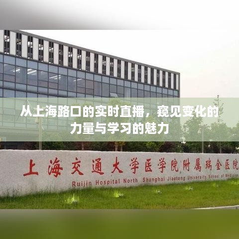 上海路口实时直播，窥见变化的力量与学习的魅力之旅