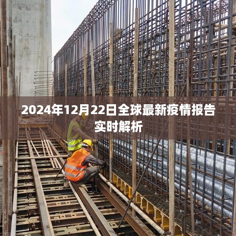 全球最新疫情报告实时解析，2024年12月22日最新进展报告