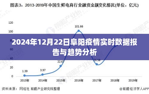 2024年12月22日阜阳疫情实时数据报告与趋势解析