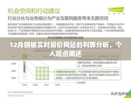 12月钢板实时报价网站利弊解析，个人观点深度探讨