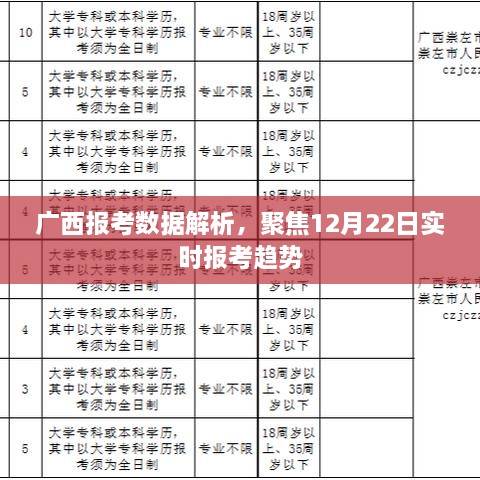 广西报考数据解析，聚焦实时报考趋势（12月22日）