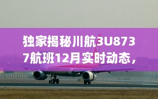 独家揭秘川航3U8737航班实时动态，暖心之旅背后的感人故事