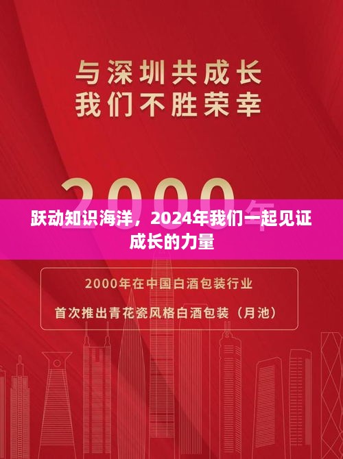 见证成长的力量，跃动知识海洋，共创未来篇章（2024年）