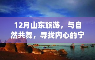 山东十二月之旅，与自然共舞，探寻内心宁静港湾