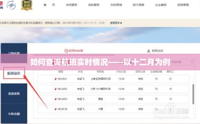 十二月航班实时查询指南