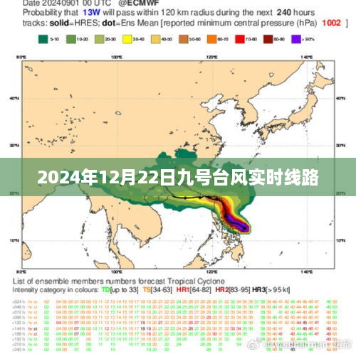 台风九号实时路径追踪，影响及应对措施