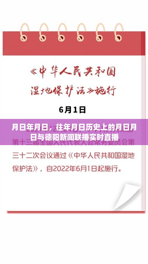 德阳新闻联播直播回顾与实时动态