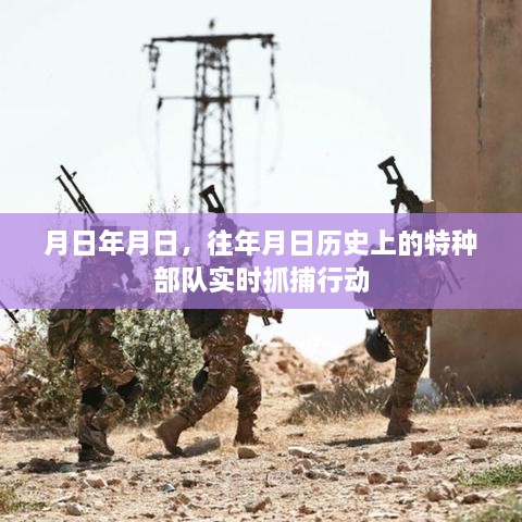 特种部队实时抓捕行动的历史回顾与记录