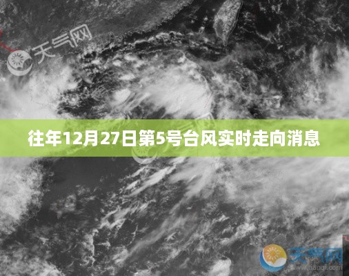 台风第5号实时路径追踪与动态更新消息通知