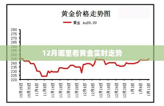 黄金实时走势查询，最新行情尽在十二月动态