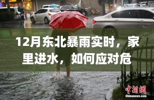 东北暴雨如何应对家中进水危机——实时指南