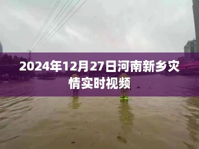 河南新乡灾情实时视频直播，最新灾情动态观察