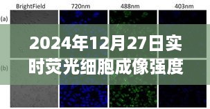 2024年荧光细胞成像强度实时观察报告