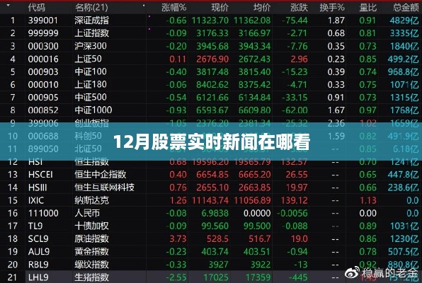 十二月股市实时动态，新闻热点跟踪