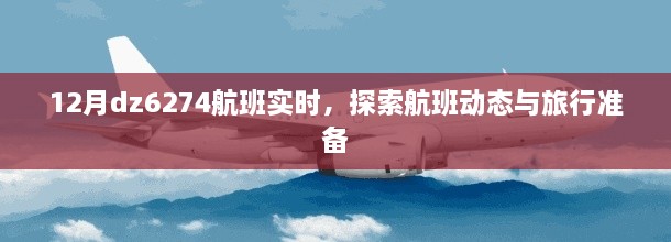 DZ6274航班实时动态探索，旅行前的准备与追踪