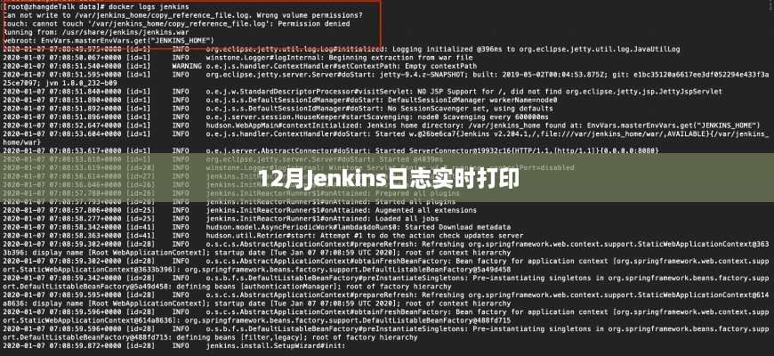 12月Jenkins日志实时跟踪与打印