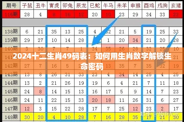 2024十二生肖49码表：如何用生肖数字解锁生命密码