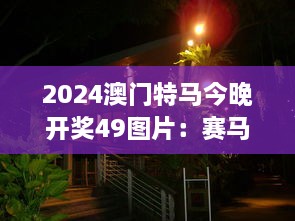 2024澳门特马今晚开奖49图片：赛马精神闪烁的星光之夜