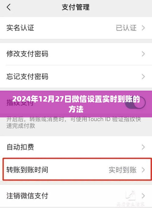 微信设置实时到账教程，2024年12月操作指南