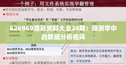 626969澳彩资料大全24期：预测学中的数据分析矩阵