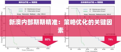 新澳内部期期精准：策略优化的关键因素