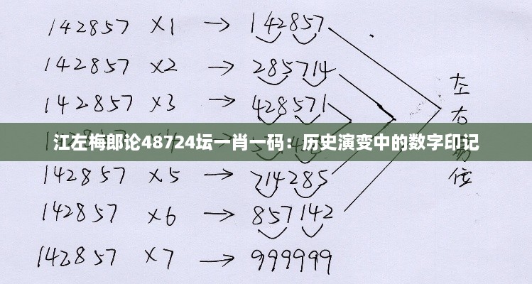 江左梅郎论48724坛一肖一码：历史演变中的数字印记