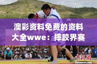 澳彩资料免费的资料大全wwe：摔跤界赛事精彩瞬间