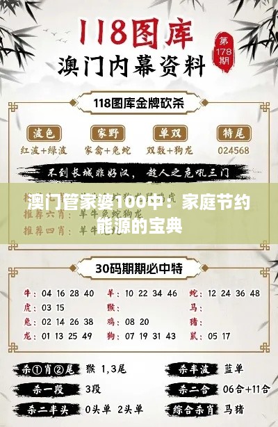 澳门管家婆100中：家庭节约能源的宝典