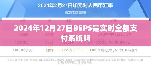 BEPS系统实时全额支付功能解析