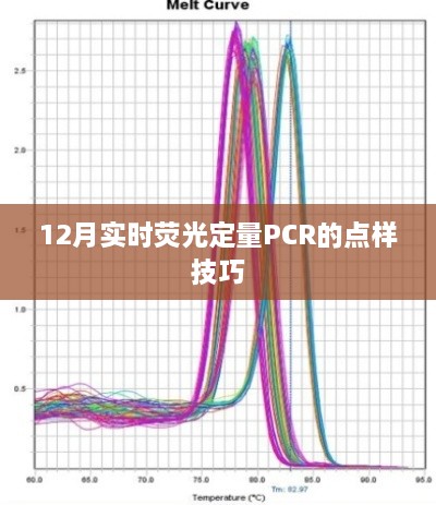 实时荧光PCR点样技巧，12月操作指南