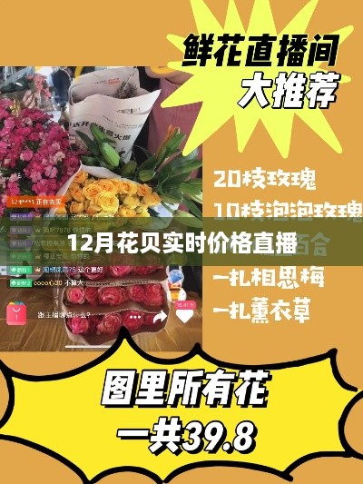 12月花贝最新实时价格直播大揭秘