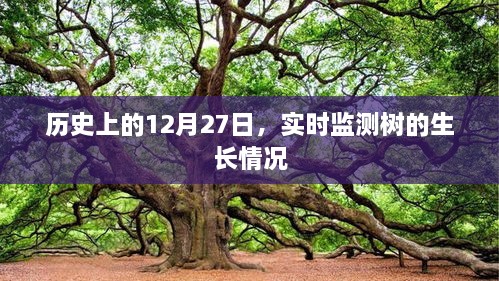 12月27日历史上的树生长实时监测概况