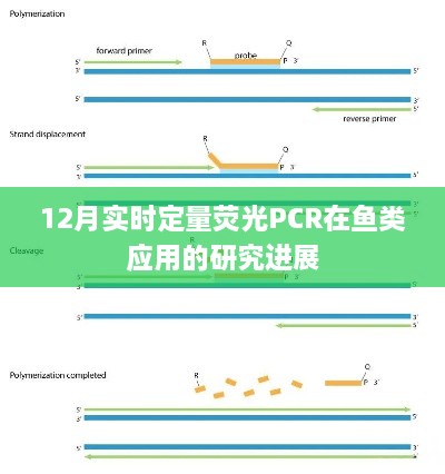 实时定量荧光PCR在鱼类研究中的最新进展