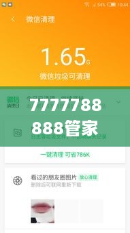 7777788888管家精准管家婆免费-提升家庭财务管理效率