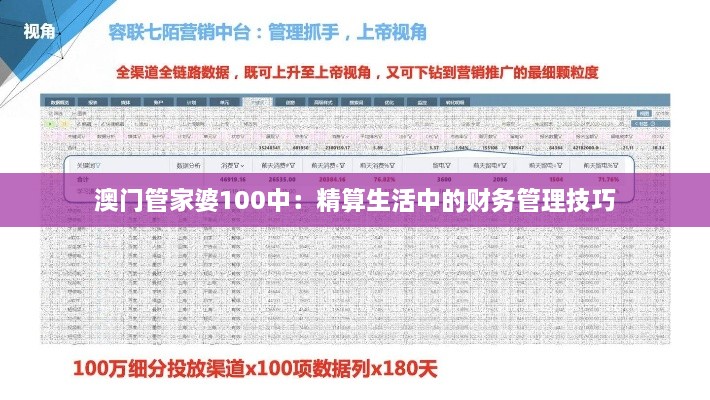 澳门管家婆100中：精算生活中的财务管理技巧