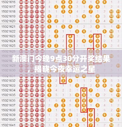 新澳门今晚9点30分开奖结果，揭晓今夜幸运之星