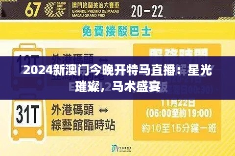 2024新澳门今晚开特马直播：星光璀璨，马术盛宴