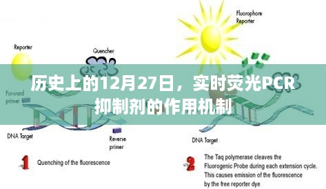 荧光PCR抑制剂作用机制的历史解读，揭秘其在12月27日的实时影响