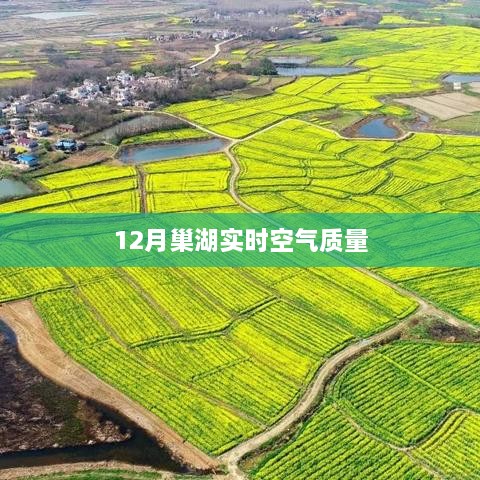 巢湖空气质量实时监测数据（12月）