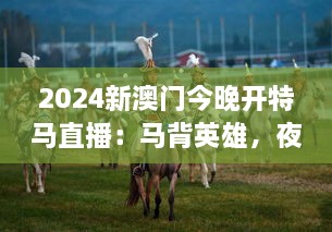 2024新澳门今晚开特马直播：马背英雄，夜幕下的传奇