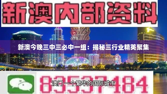 新澳今晚三中三必中一组：揭秘三行业精英聚集