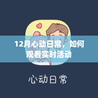 12月心动日常，实时活动观看指南