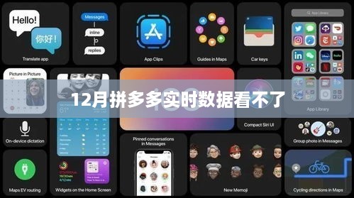 拼多多实时数据查看指南，解决12月数据无法查看问题