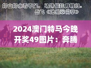 2024澳门特马今晚开奖49图片：奔腾的马蹄与热情的掌声