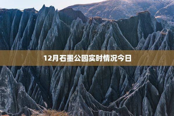 12月石墨公园最新实时景象今日探秘